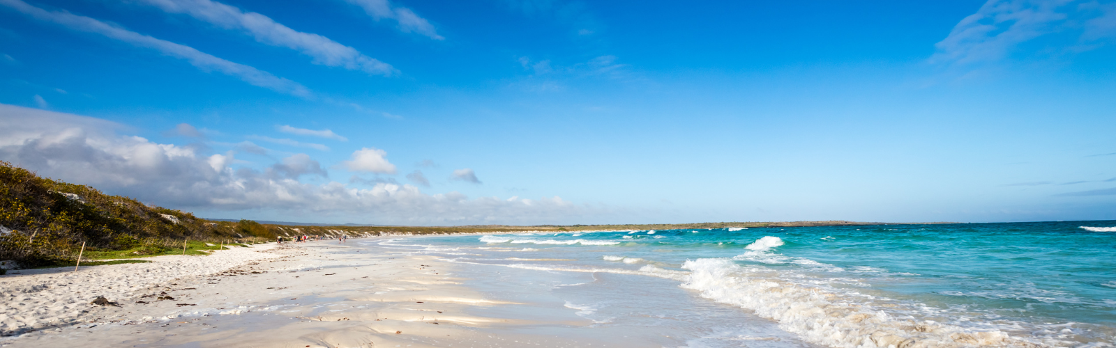Waves are crashing onto the beach. The sky is clear and some greenery is near the beach.